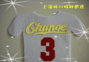 熱轉(zhuǎn)印彩色仿繡花3D印標(biāo) 價(jià)格、廠家與圖片全解析